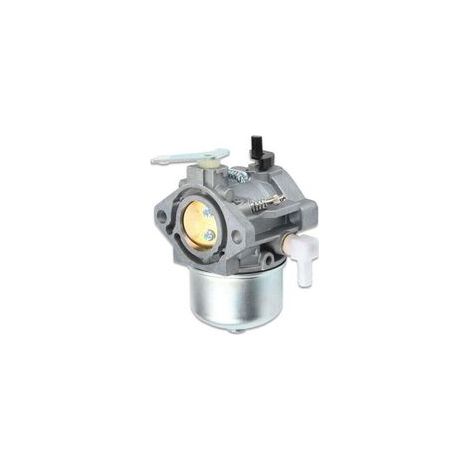 Il carburatore Briggs & Stratton 690119 è compatibile con i motori dei modelli 694526, 192437 e 192452.