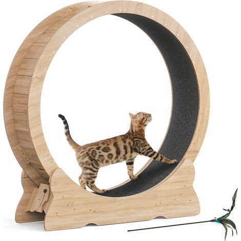 Mondeer – Roue d'exercice pour chat 110 cm – Tapis roulant silencieux – Jouet inclus – Tapis amovible – Sécurité élevée – Convient à plusieurs chats (1/5)