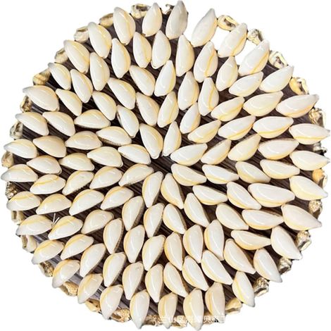 Nautical Seashell Coasters For Home Bar Gifting Decor Stone Set