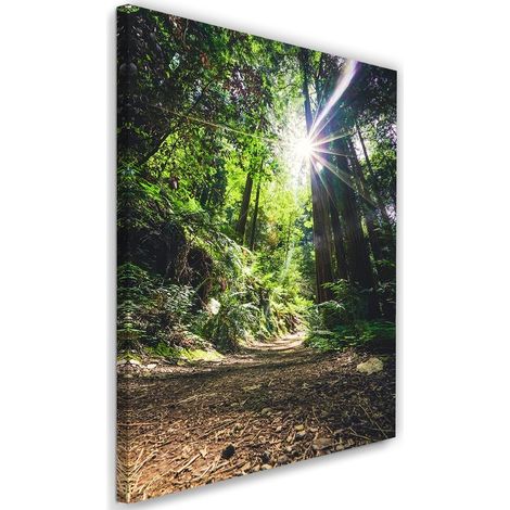 Tableau sur toile Jungle Forêt Nature Vert 40x60 (1/5)