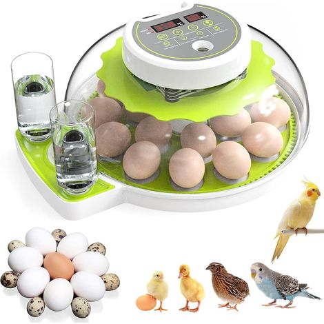 Vollautomatischer Brutapparat mit Eierwendefunktion Temperaturregelung und Wasserzufuhr, Brutapparat für 18-36 Eier für Hühner, Gänse, Enten und (1/5)