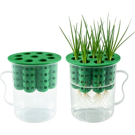 Lot de 2 Supports de Culture Hydroponique en Plastique, pour Ciboule Ail Persil et Plante de la Monnaie, Balcon Cuisine Outil Végétal (1/5)