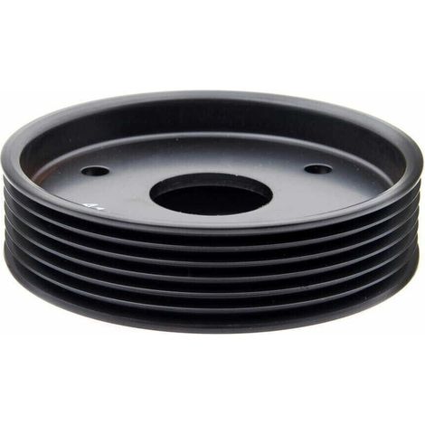 Poulie de pompe de direction assistée pour Renault 7700109328 (1/4)