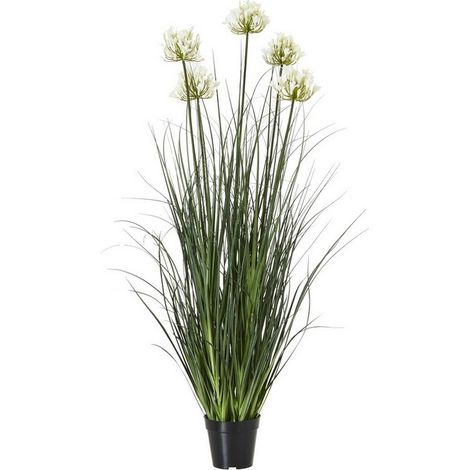 Large Agapanthus Plant in Pot - Plastic - Height 120 cm - White
