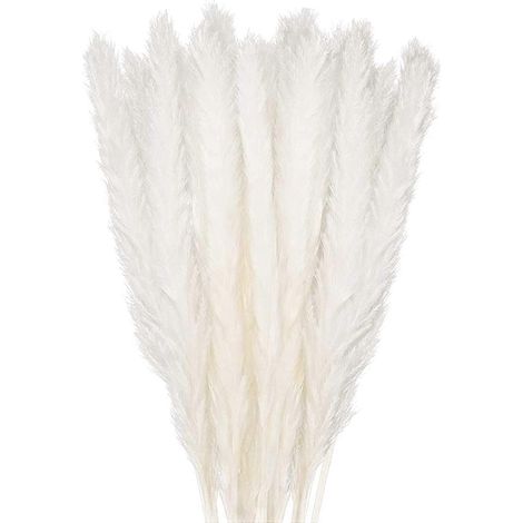 Ensemble de 30 décorations en herbe de la pampa séchée, bouquet de fleurs décoratif de 45 cm (1/4)