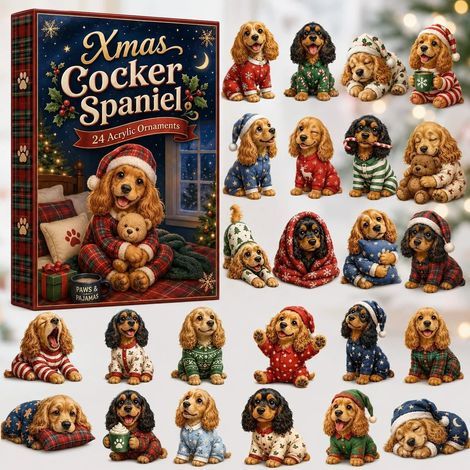 Cocker Spaniel in Pyjamas Advent Calendar 2026 2D Surprise Box