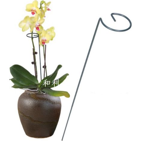 Supporto per piante, fiori, palo da giardino, supporto, scala, 35 cm, metallo (1/2)