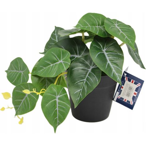 Pianta artificiale in vaso - filodendro decorativo per interni (1/5)