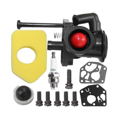 795477 Carburateur et Filtre à air 698369 pour Briggs 795469 794147 699660 794161 498811 (1/4)