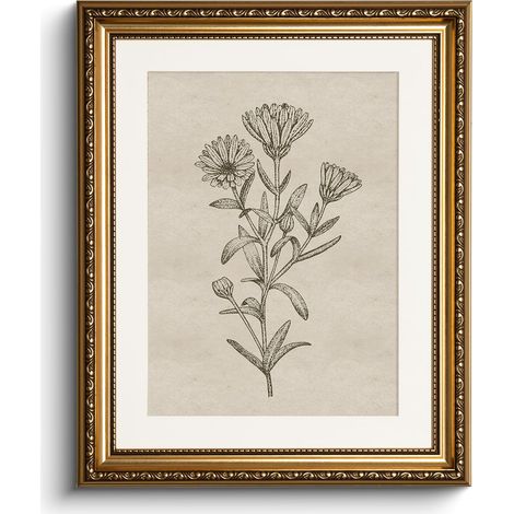Tableaux sur Toile avec Cadre Doré, Petits Tableaux Vintage, Peinture Botanique Minimaliste, Décoration Murale pour Salon Chambre à Coucher Salle de Bain Cuisine, Décoration de Ferme (1/5)