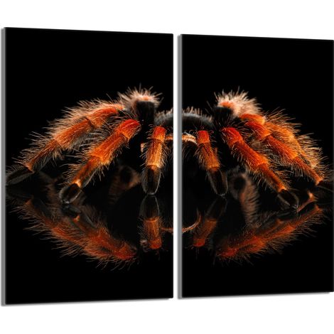 Glasschutzplatte für den Herd 2x30x52 Spider (1/5)