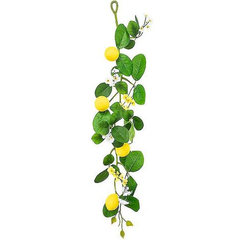 1 guirlande de fruits avec citron (1/3)