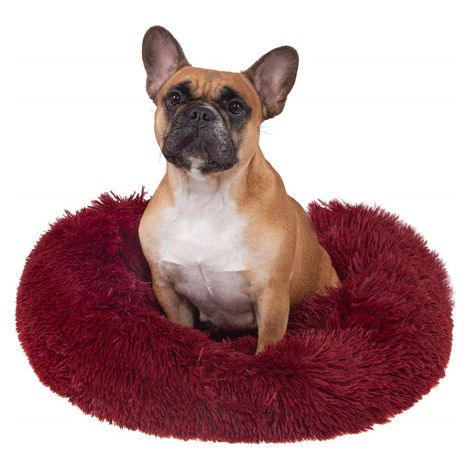 Bed for dogs 60cm, plush bedding red -
Cuccia per cani 60cm, cuscino peluche rosso (1/5)
