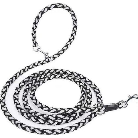 Laisse pour chien en corde (2 pièces), en nylon avec fils réfléchissants, 2,5 m, noire - Laisses classiques et laisses d'entraînement (1/5)