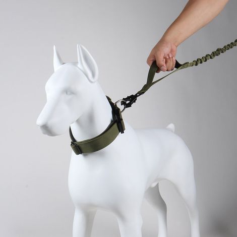Ensemble collier et laisse anti-traction : collier réglable ultra-résistant avec laisse élastique (1/4)