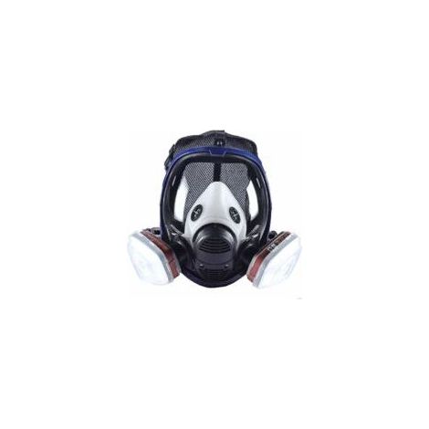 Vollgesichtsmasken. Farben. Chemikalien und andere Arbeitsschutzmaßnahmen. (1/5)
