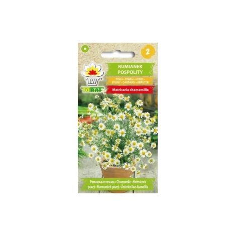 camomille commune 0,5 g (1/3)
