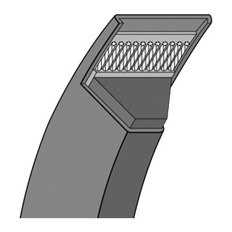 Courroie trapézoidale lisse Contitech Conti V SPB5000 Ld