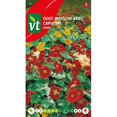 Capucine Alaska - Ca. 3.5 gr (Livraison Gratuite) (1/2)
