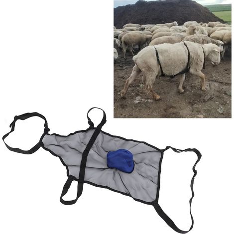Tablier anti-saillie pour brebis, tissu respirant résistant à l'usure, ajustement sécurisé pour moutons et chèvres, bleu (1/4)
