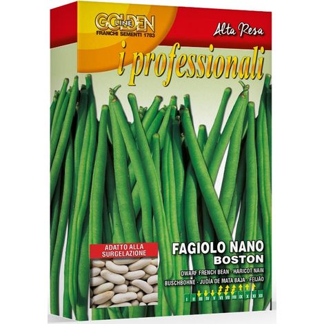 SEMI DI FAGIOLO NANO BOSTON 200GR. FRANCHI SEMENTI