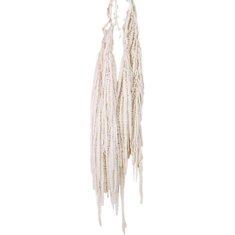 Fleur artificielle Amaranthus, 24-31,5 bouquet de fleurs séchées suspendues, fleurs séchées naturelles réalisables, plantes séchées réutilisables pour bouquet de mariage à la maison décor, blanc (1/5)