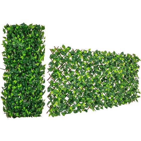 efeutute wurzel Hydro Efeutute – Green Me Up main image 0