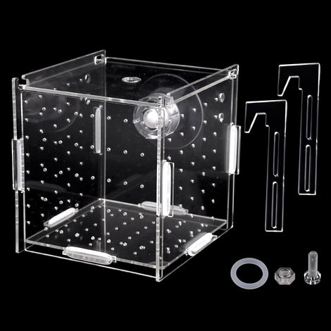 1 Boîte D'élevage, Acrylique Transparent, Trous Aération, Ventouses, Pour Crevettes Et Guppy (1/5)