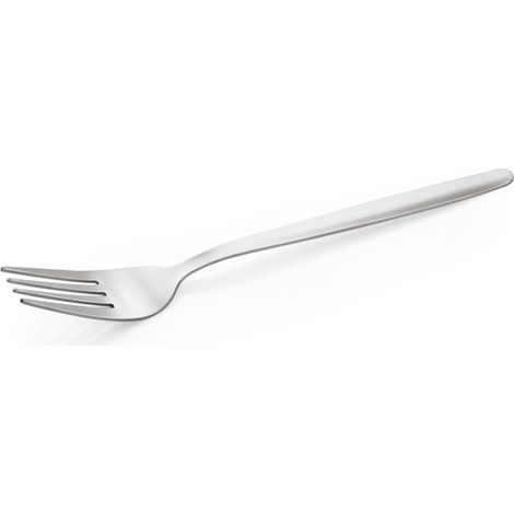 Lot de 12 Fourchettes à dîner NP80 ECO en Acier Chrome L 190 mm - Was Germany