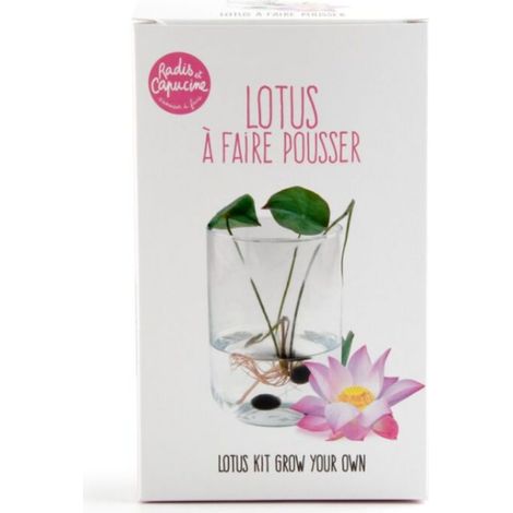 Garden set - Lotus zen (1/7)