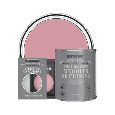 Peinture pour Meubles de Cuisine, Finition Brillante - Rose Antique (1/2)