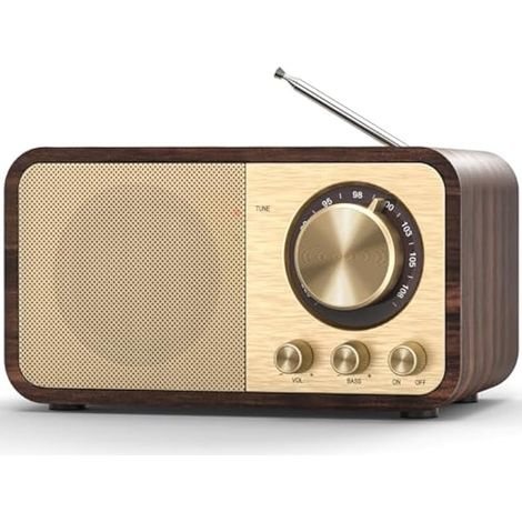 Radio Nostalgie, Radios Rétro avec Bluetooth, Emplacement pour Carte TF, Batterie Rechargeable 2000mAH, Haut Parleur 5 Watts, Radios Vintage avec AUX/USB, Radio pour Cuisine/Chambre/Bureau (1/5)