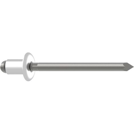 Gesipa 1433562 Rivet aveugle acier acier 250 pc(s) (1/4)