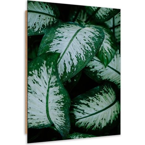 Quadro deco panel, Foglie tropicali bianche e verdi - 80x120 (1/5)