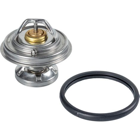 Febi-Bilstein 09672 - Termostato, Refrigerante