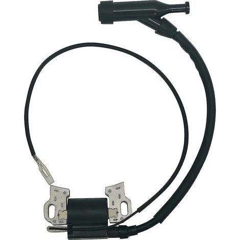 Zündspule Gx390 für Honda Predator 420cc 301cc Gx270 Gx340 Klone (1/5)