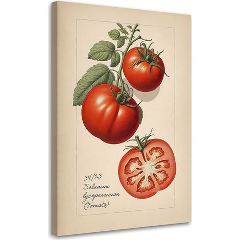 Tableau sur toile Tableau sur toile Fruits Millésime Tomate 70x100 (1/5)