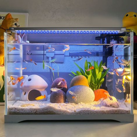 Jiubiaz Lámpara LED de acuario con mando, luz para peces, 18W 50,5 cm (1/5)