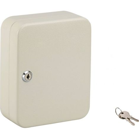 Armoire 20 clés 160 x 200 x 75 mm en acier époxy beige - 13219 (1/5)