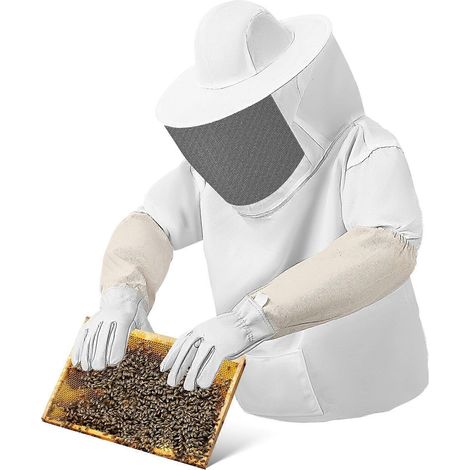 1 Ensemble Combinaison d'Apiculteur Gants d'Apiculteur Capuche Aérée à Fermeture Éclair Matériel d'Apiculteur Fournitures d'Apiculteur (1/5)