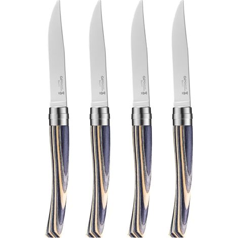 Coffret 4 Couteaux de Table Chic Bouleau Lamellé Lame Traditionnelle Yatagan Acier Inox Manche Bouleau Fabrication Française (1/5)