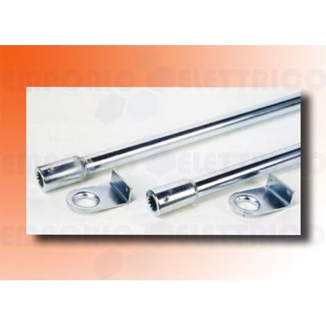 Coppia Di Tubi Trasmissione Per 550 Supporto Laterale 2 Metri 200 Cm FAAC 736023 (1/3)