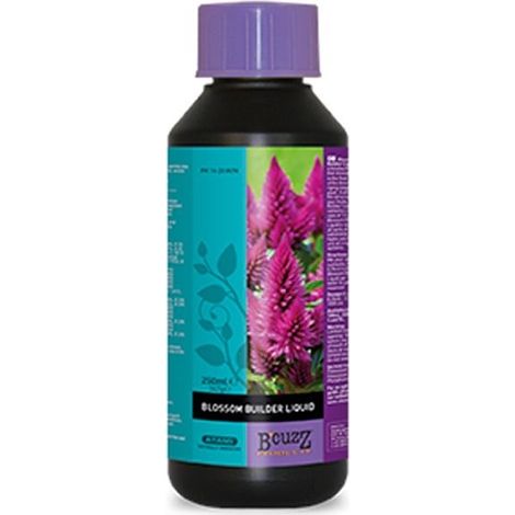 Booster de floraison BLOSSOM Builder 250ml - ATAMI
