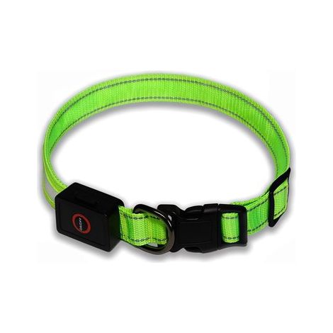 LED-Hundehalsband leuchtend wasserdicht einstellbare Blinkfunktion wiederaufladbar für bessere Sichtbarkeit und Sicherheit gegen Verlust und grün (1/5)