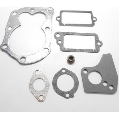 Guarnizioni Briggs et Stratton 699450 - 498694