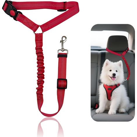 Ceinture de sécurité Harnais pour Petits (1/5)