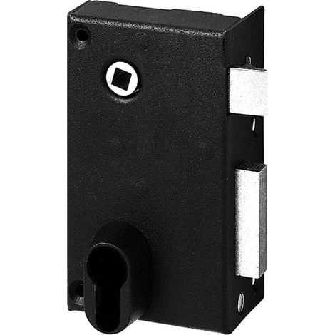Abus Coperchio lucchetto FE9814102A SA V CE D 70 x 120 mm (consegnato senza lucchetto)