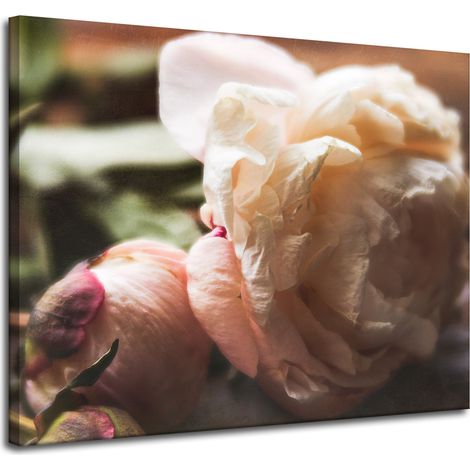 Leinwanddruck Botanik Blumen Pfingstrose 100x80 cm