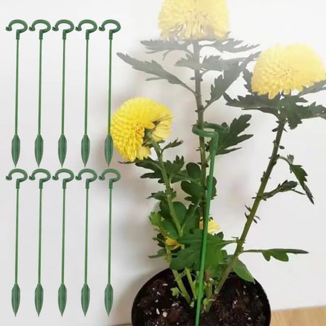 10 supports de plantes en plastique rutilisables outil de fixation pour jardinage 17cm Jardin piscine  Outil et maté (1/5)
