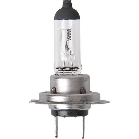 ProPlus LKW-Lampe H7 24 Volt 70 Watt weiß im Blister